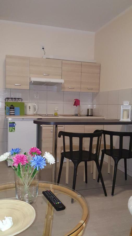 Apartamenty Morska Bryza ミエンジズドロイェ エクステリア 写真
